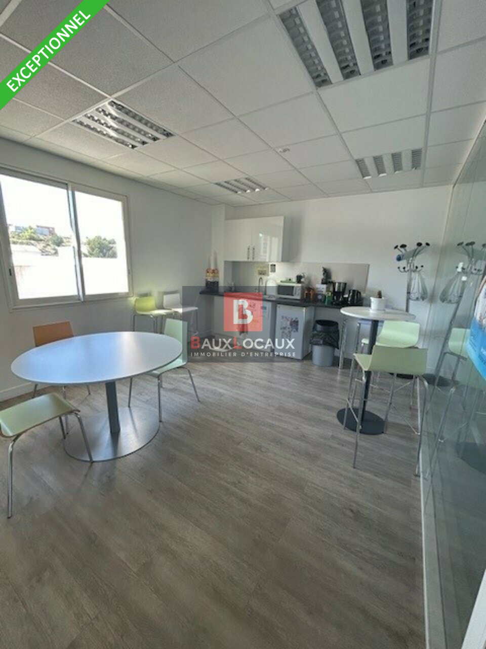BAUX LOCAUX LOCATION-BUREAUX-MARTIGUES-13