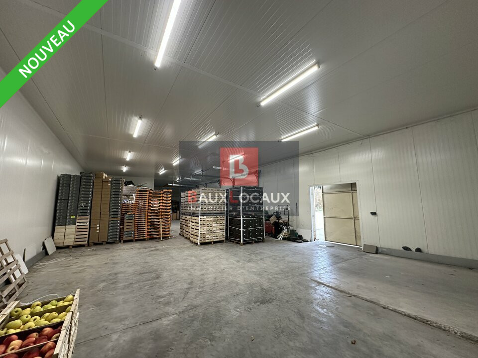 BAUX LOCAUX VENTE-LOCAL D'ACTIVITE-NOVES-13
