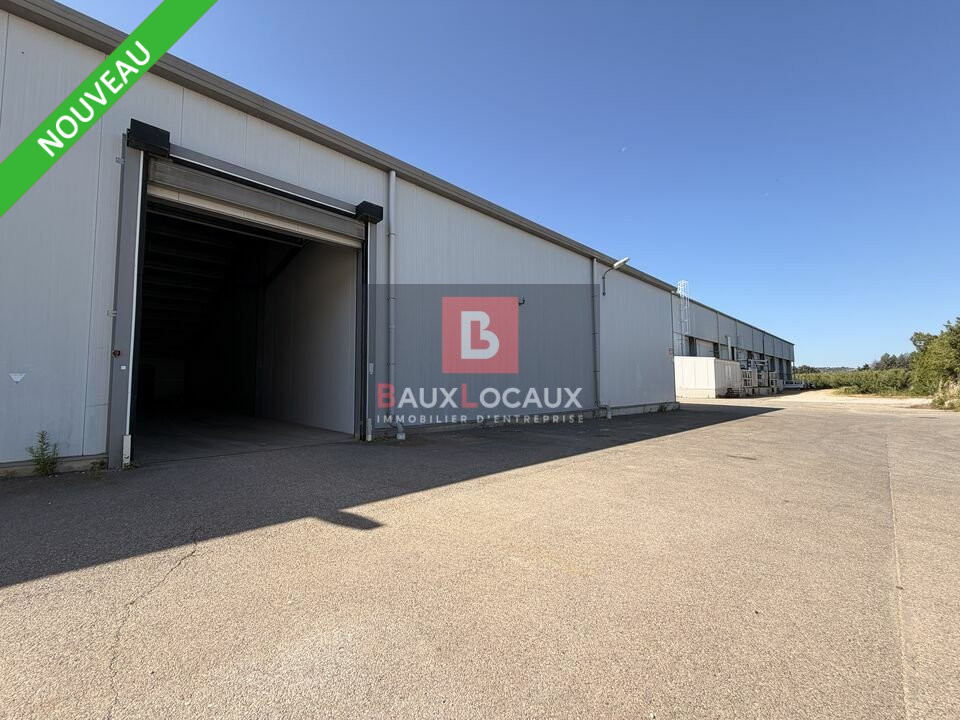 BAUX LOCAUX LOCATION-LOCAL D'ACTIVITE-CAVAILLON-84