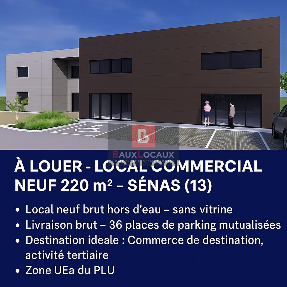 BAUX LOCAUX LOCATION-LOCAL COMMERCIAL-SENAS-13