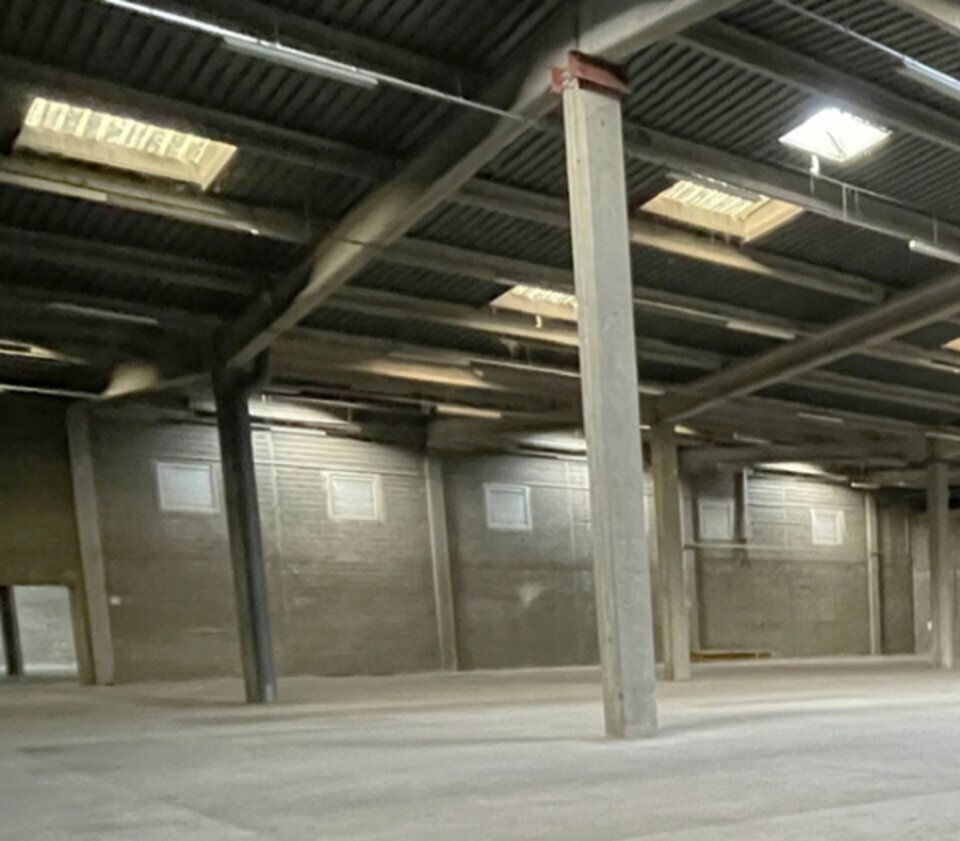 ARCHE DEVELOPPEMENTS LOCATION-ENTREPOT-ARNAS-69