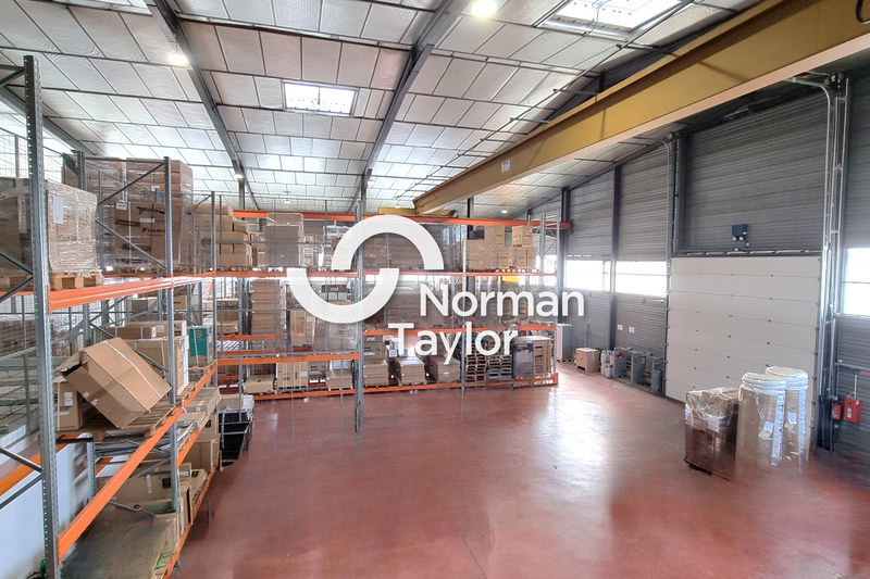 NORMAN TAYLOR MONTPELLIER LOCATION-LOCAL D'ACTIVITE-PERPIGNAN-66
