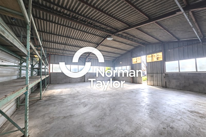 NORMAN TAYLOR MONTPELLIER VENTE-LOCAL D'ACTIVITE-PERPIGNAN-66