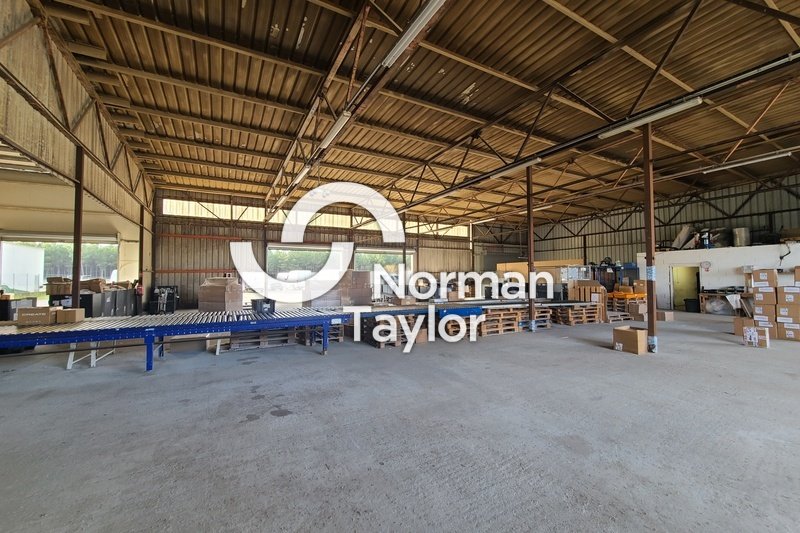 NORMAN TAYLOR MONTPELLIER LOCATION-LOCAL D'ACTIVITE-MAGESCQ-40