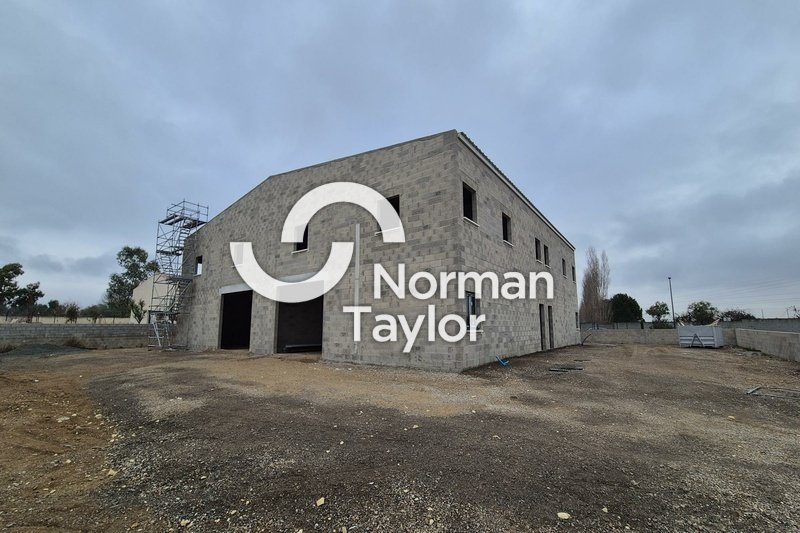 NORMAN TAYLOR MONTPELLIER LOCATION-LOCAL D'ACTIVITE-BEZIERS-34