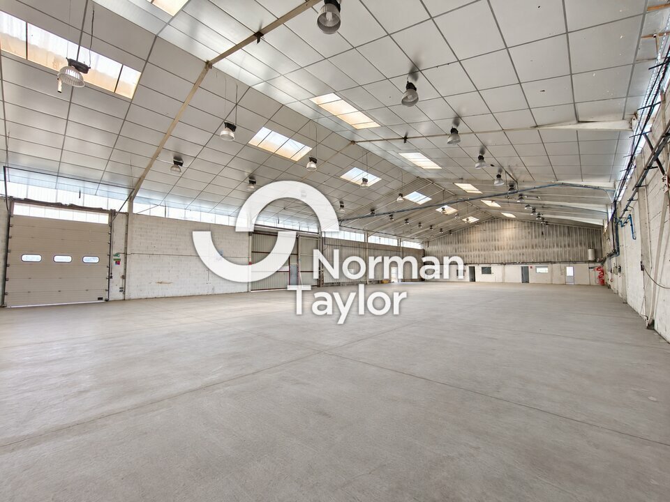 NORMAN TAYLOR PAYS BASQUE LOCATION-LOCAL D'ACTIVITE-BAYONNE-64