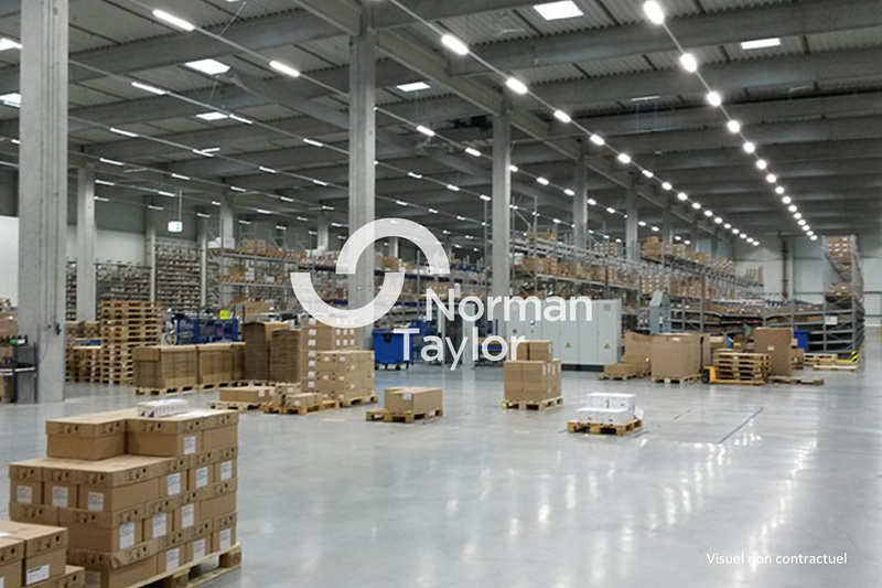 NORMAN TAYLOR MONTPELLIER LOCATION-LOCAL D'ACTIVITE-NIMES-30