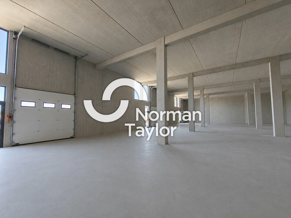 NORMAN TAYLOR PAYS BASQUE LOCATION-LOCAL D'ACTIVITE-BIARRITZ-64