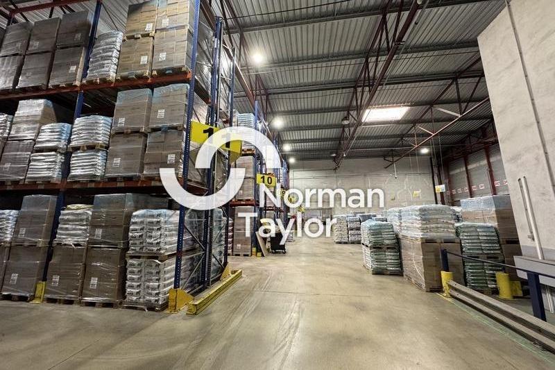 NORMAN TAYLOR MONTPELLIER VENTE-ENTREPOT-NIMES-30