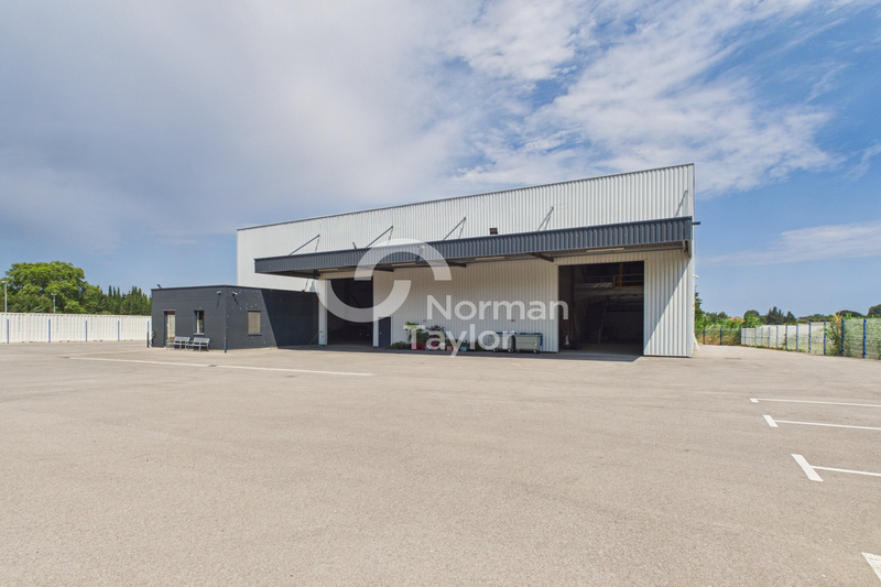 NORMAN TAYLOR MONTPELLIER VENTE-LOCAL D'ACTIVITE-SAINT_CYPRIEN-66