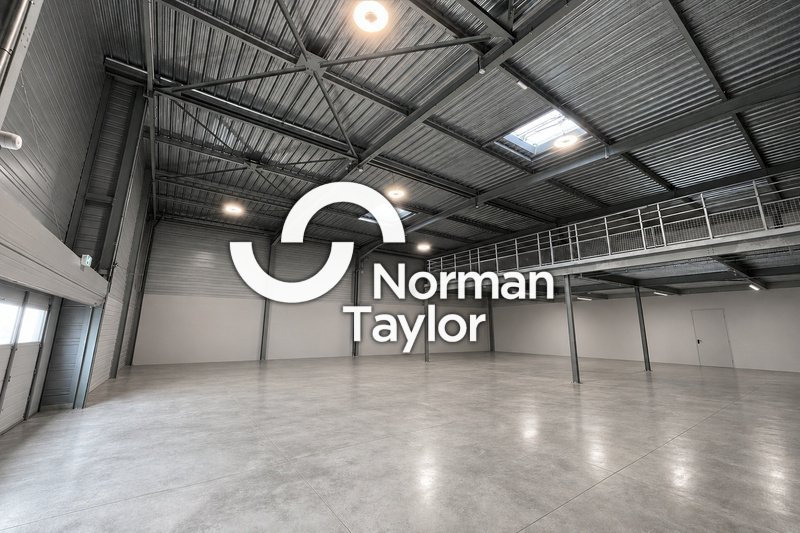NORMAN TAYLOR MONTPELLIER LOCATION-LOCAL D'ACTIVITE-MONTPELLIER-34