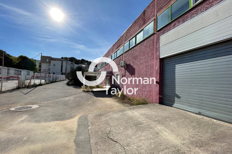 NORMAN TAYLOR MONTPELLIER VENTE-BUREAUX-MONTPELLIER-34