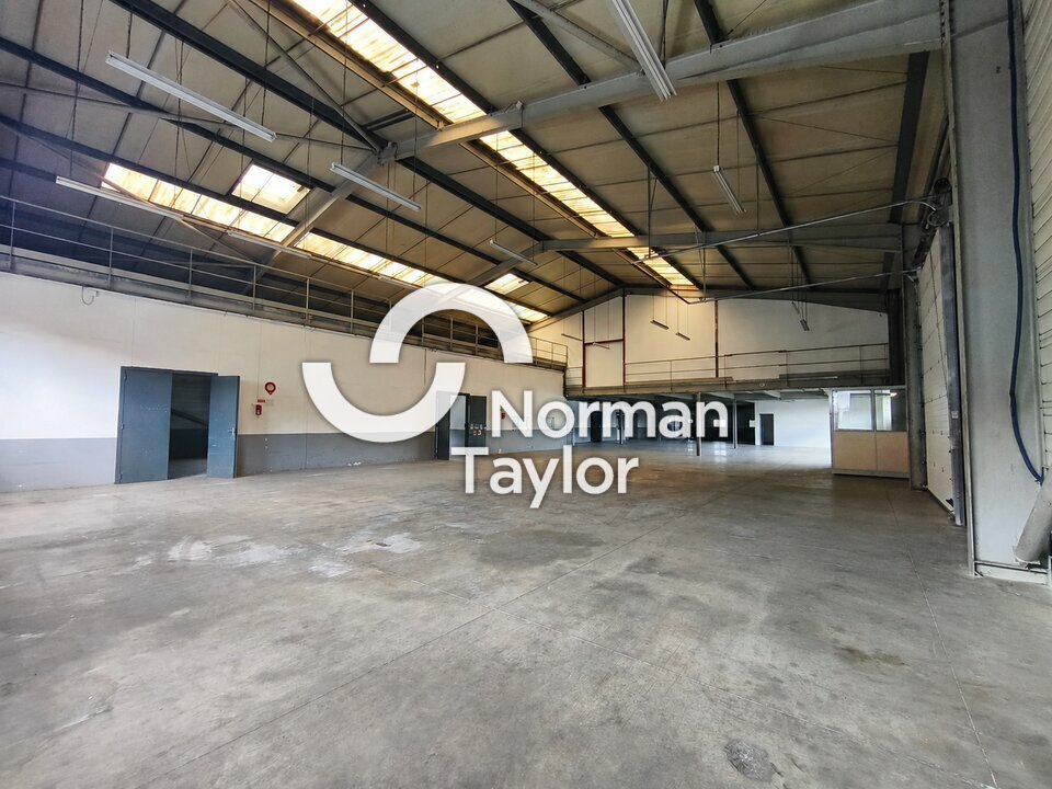 NORMAN TAYLOR PAYS BASQUE LOCATION-LOCAL D'ACTIVITE-ANGLET-64