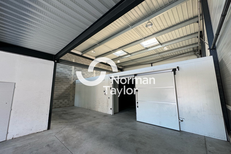 NORMAN TAYLOR MONTPELLIER LOCATION-LOCAL D'ACTIVITE-MONTPELLIER-34