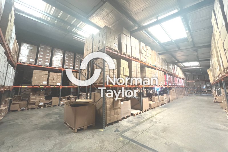 NORMAN TAYLOR MONTPELLIER LOCATION-LOCAL D'ACTIVITE-VILLENEUVE_LES_MAGUELONE-34
