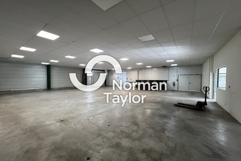 NORMAN TAYLOR MONTPELLIER VENTE-LOCAL COMMERCIAL-PERPIGNAN-66