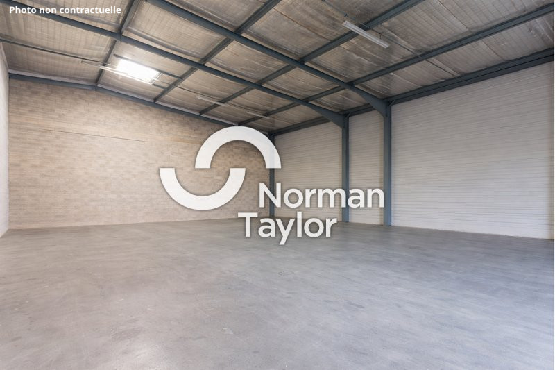 NORMAN TAYLOR MONTPELLIER LOCATION-LOCAL D'ACTIVITE-PERPIGNAN-66