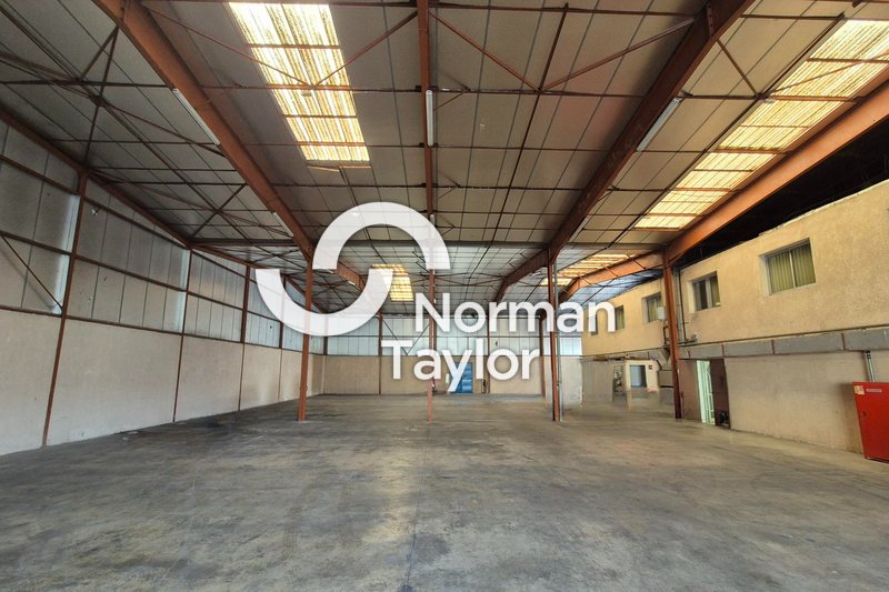 NORMAN TAYLOR MONTPELLIER VENTE-LOCAL D'ACTIVITE-PERPIGNAN-66