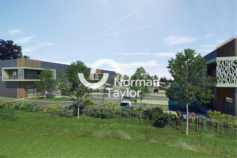 NORMAN TAYLOR MONTPELLIER LOCATION-LOCAL D'ACTIVITE-MONTPELLIER-34