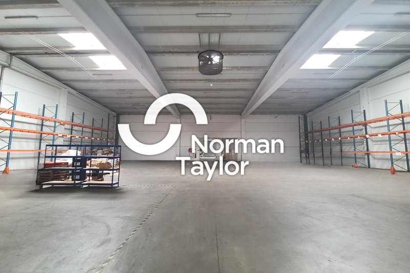 NORMAN TAYLOR MONTPELLIER LOCATION-LOCAL D'ACTIVITE-BEZIERS-34