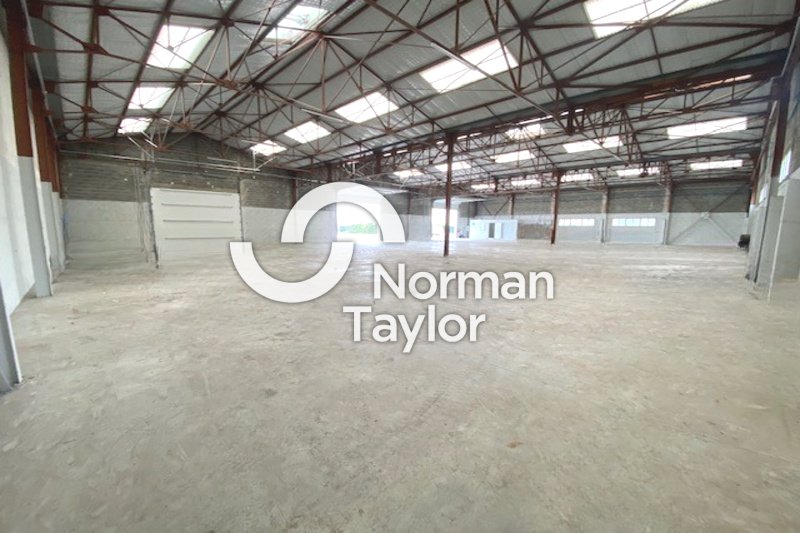 NORMAN TAYLOR MONTPELLIER LOCATION-LOCAL D'ACTIVITE-PERPIGNAN-66