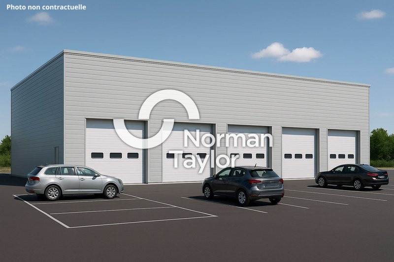 NORMAN TAYLOR MONTPELLIER LOCATION-LOCAL D'ACTIVITE-BEZIERS-34