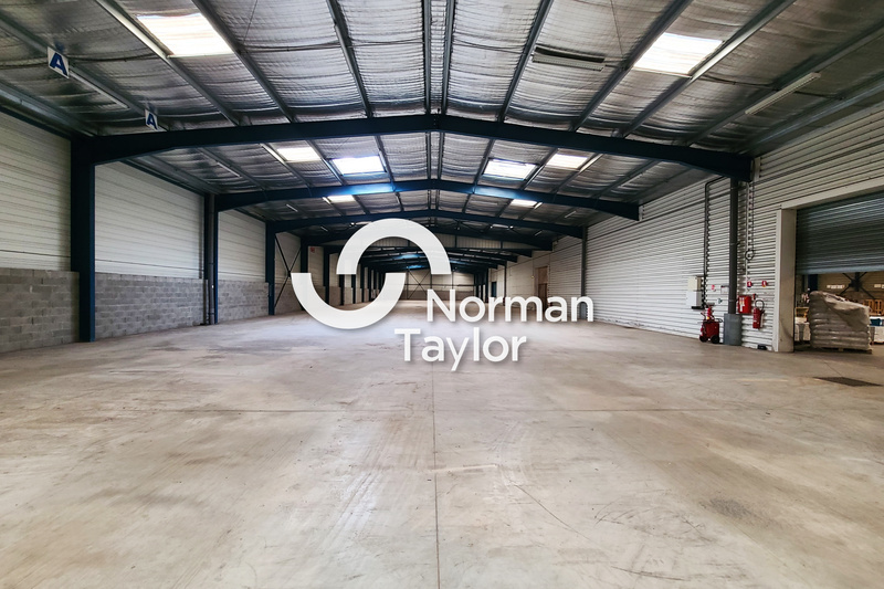 NORMAN TAYLOR MONTPELLIER VENTE-LOCAL D'ACTIVITE-BEZIERS-34