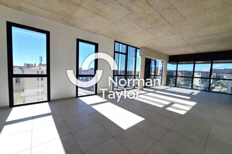 NORMAN TAYLOR MONTPELLIER LOCATION-BUREAUX-BEZIERS-34
