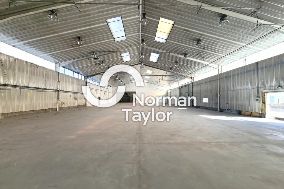 NORMAN TAYLOR PAYS BASQUE LOCATION-LOCAL D'ACTIVITE-BAYONNE-64