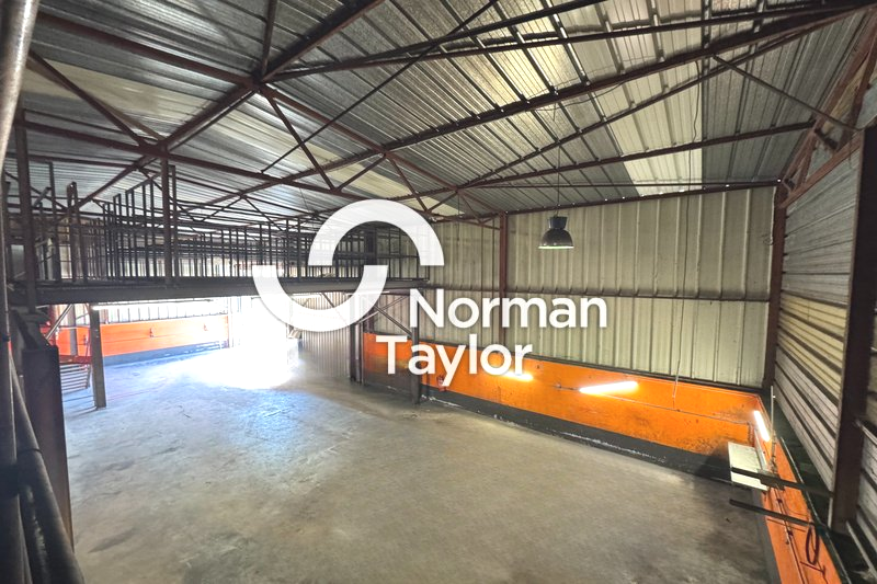 NORMAN TAYLOR MONTPELLIER LOCATION-LOCAL D'ACTIVITE-MONTPELLIER-34