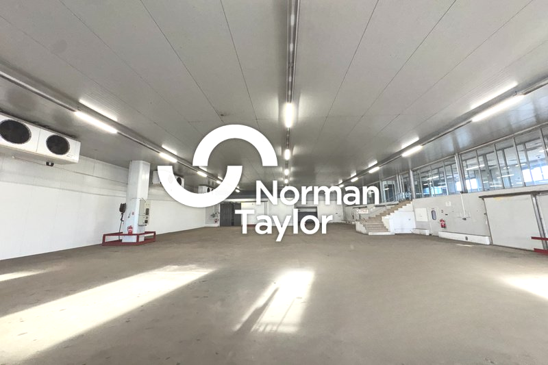 NORMAN TAYLOR MONTPELLIER LOCATION-LOCAL D'ACTIVITE-NIMES-30