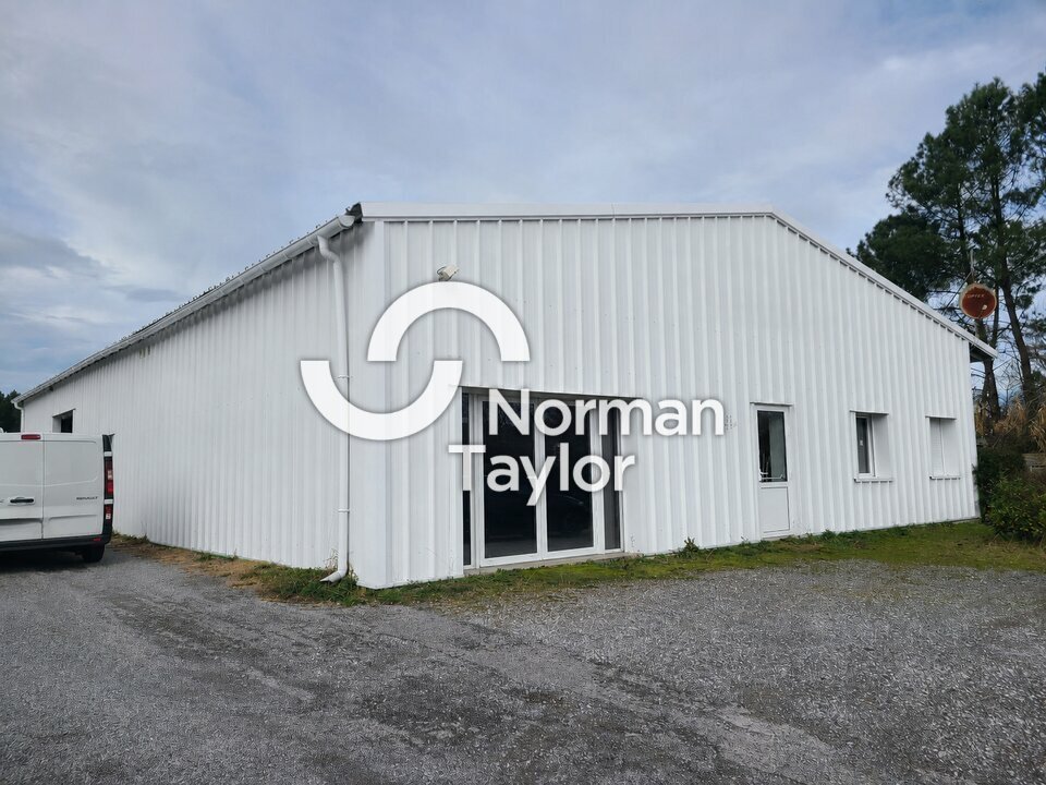 NORMAN TAYLOR PAYS BASQUE VENTE-LOCAL D'ACTIVITE-MAGESCQ-40