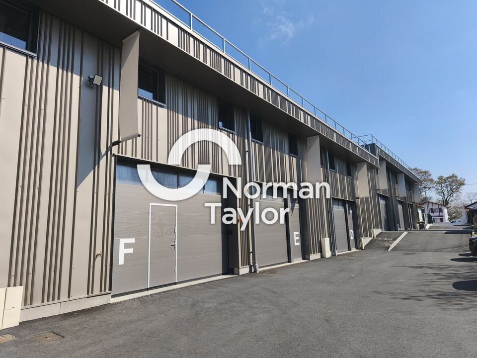 NORMAN TAYLOR PAYS BASQUE VENTE-LOCAL D'ACTIVITE-USTARITZ-64