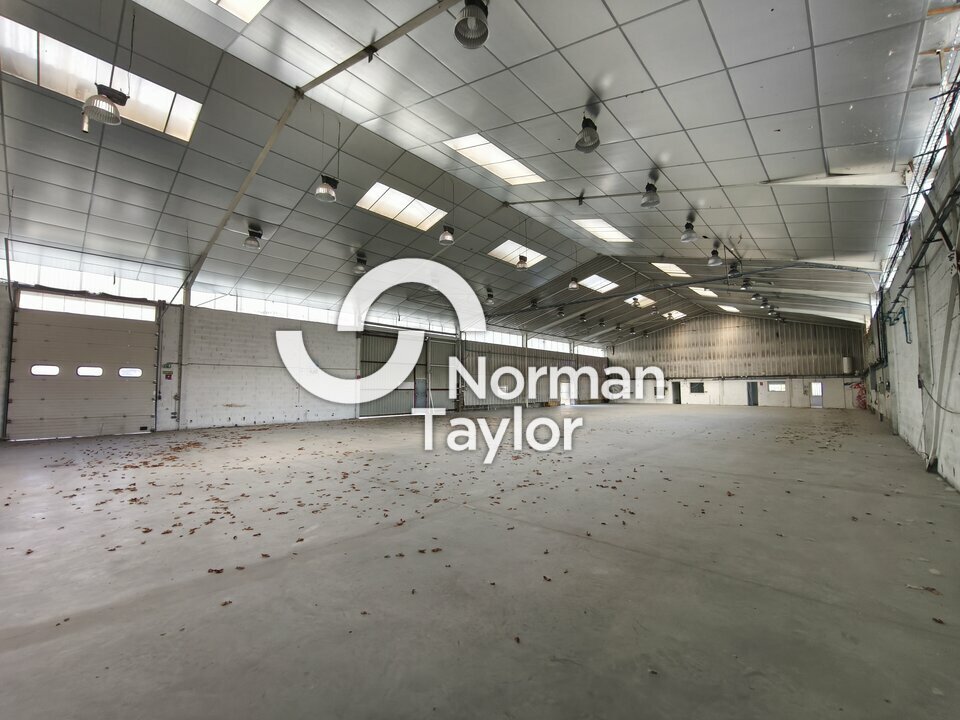 NORMAN TAYLOR PAYS BASQUE LOCATION-LOCAL D'ACTIVITE-BAYONNE-64