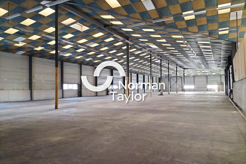 NORMAN TAYLOR MONTPELLIER VENTE-LOCAL D'ACTIVITE-BEZIERS-34