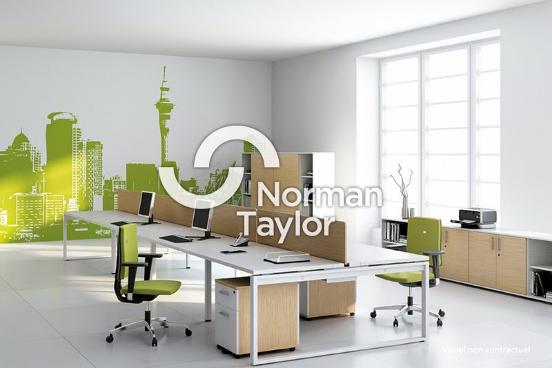 NORMAN TAYLOR MONTPELLIER LOCATION-BUREAUX-CASTRIES-34