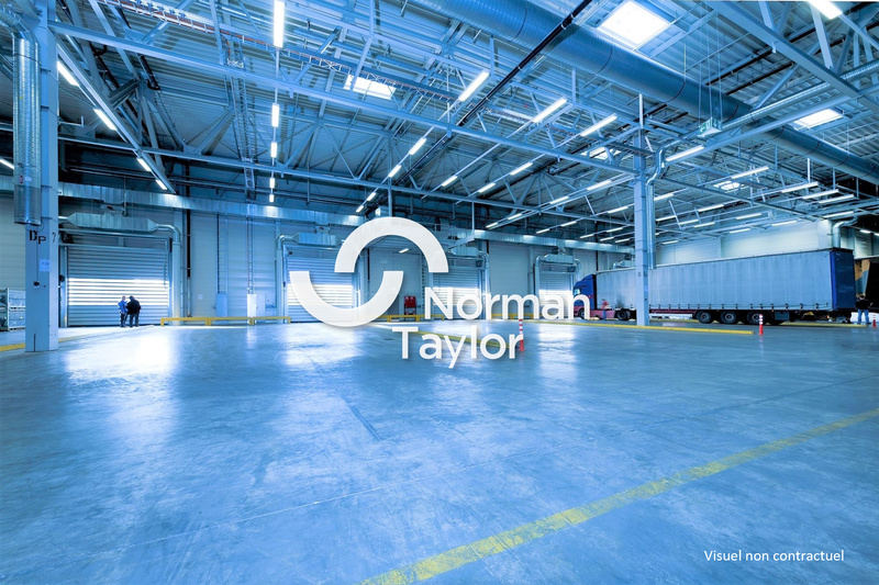 NORMAN TAYLOR MONTPELLIER LOCATION-LOCAL D'ACTIVITE-NIMES-30