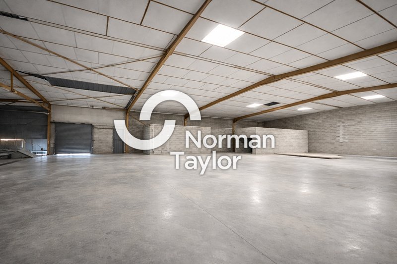 NORMAN TAYLOR MONTPELLIER LOCATION-ENTREPOT-MAUGUIO-34