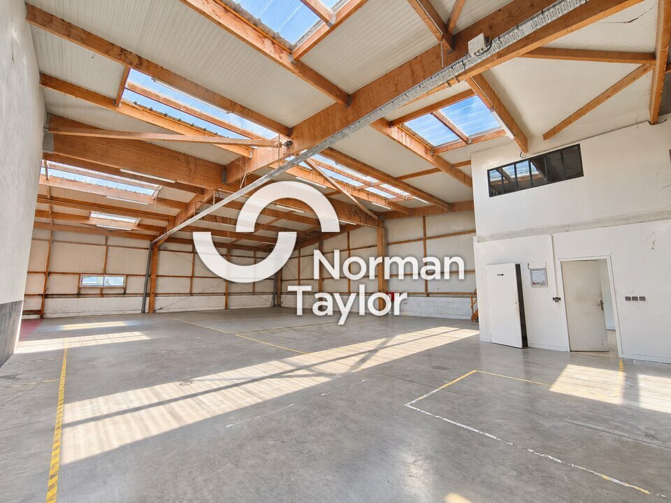 NORMAN TAYLOR PAYS BASQUE LOCATION-LOCAL D'ACTIVITE-BAYONNE-64