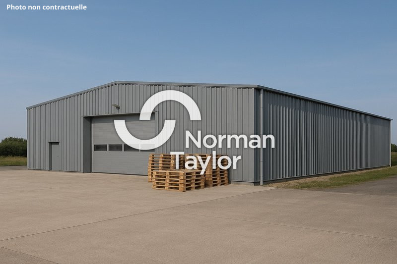 NORMAN TAYLOR MONTPELLIER VENTE-LOCAL D'ACTIVITE-MONTPELLIER-34