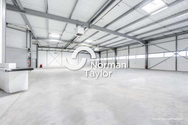 NORMAN TAYLOR MONTPELLIER LOCATION-LOCAL D'ACTIVITE-SETE-34