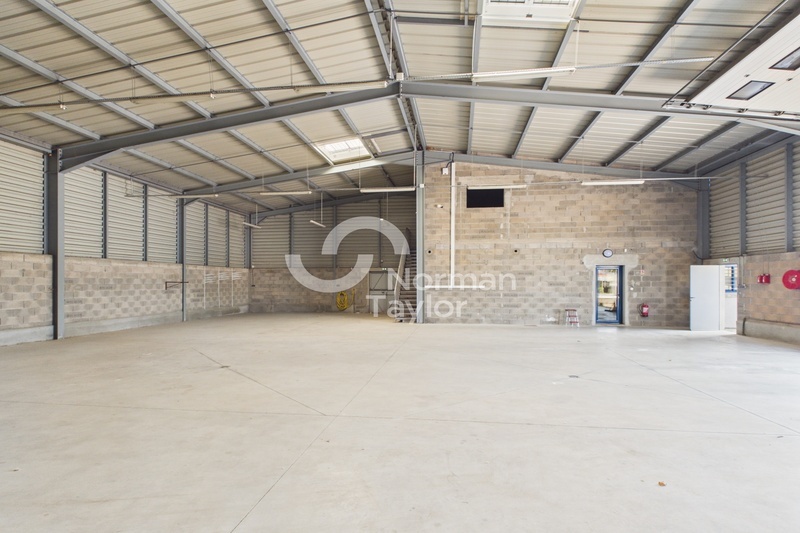 NORMAN TAYLOR MONTPELLIER LOCATION-LOCAL D'ACTIVITE-PERPIGNAN-66