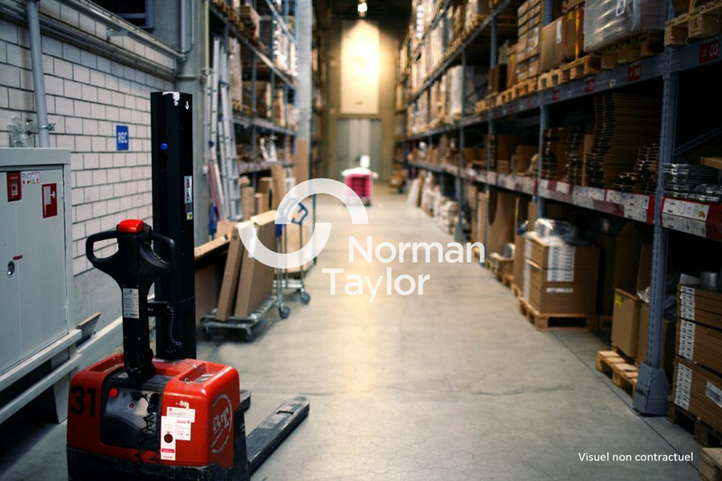 NORMAN TAYLOR MONTPELLIER LOCATION-LOCAL D'ACTIVITE-COURNONSEC-34