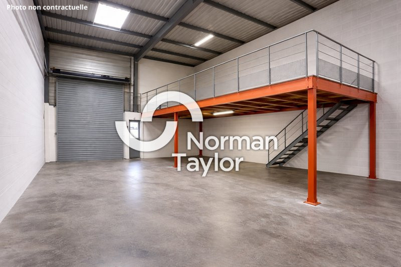 NORMAN TAYLOR MONTPELLIER LOCATION-LOCAL D'ACTIVITE-SAINT_GEORGES_D'ORQUES-34