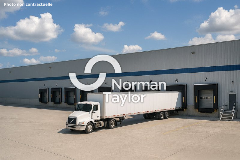 NORMAN TAYLOR MONTPELLIER VENTE-LOCAL D'ACTIVITE-MONTPELLIER-34