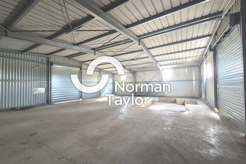 NORMAN TAYLOR MONTPELLIER LOCATION-LOCAL D'ACTIVITE-BEZIERS-34