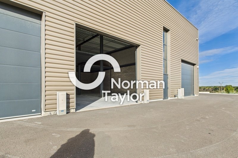 NORMAN TAYLOR MONTPELLIER VENTE-LOCAL D'ACTIVITE-MONTPELLIER-34
