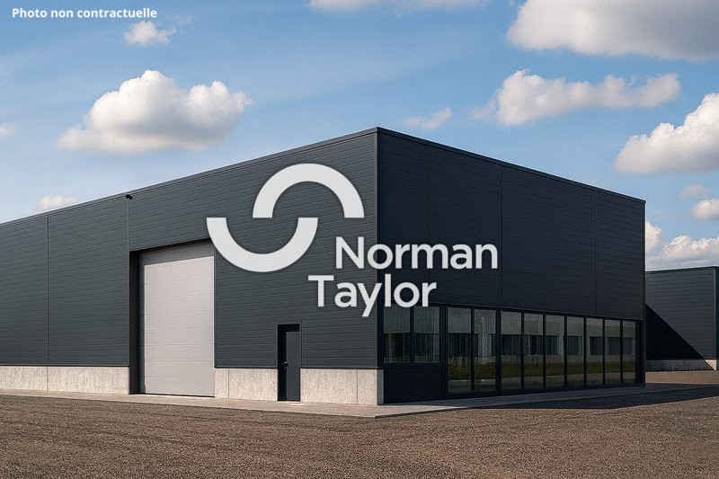 NORMAN TAYLOR MONTPELLIER VENTE-FONDS DE COMMERCE-MAUGUIO-34