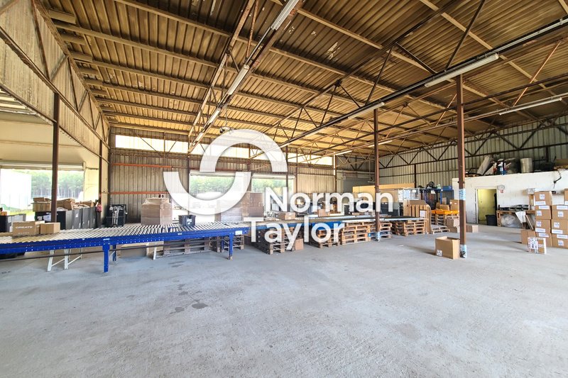 NORMAN TAYLOR PAYS BASQUE LOCATION-LOCAL D'ACTIVITE-MAGESCQ-40