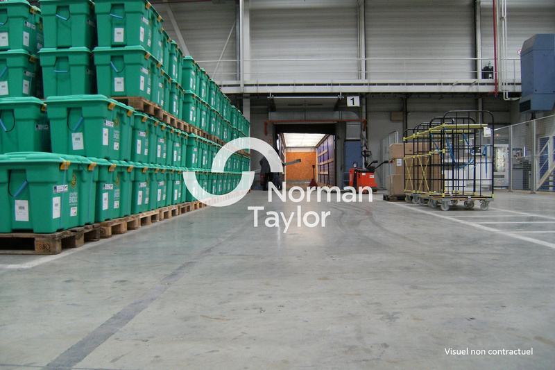 NORMAN TAYLOR MONTPELLIER LOCATION-LOCAL D'ACTIVITE-MONTPELLIER-34